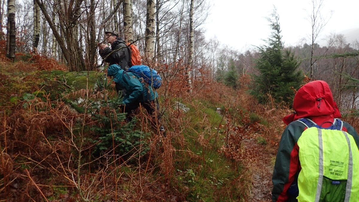 Licheneering by Thirlmere