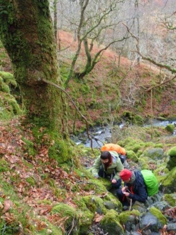 CLBG bryologists at Troutdale CLBG bryologists at Troutdale