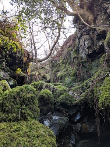 View up one of the bigger gills, Josie Niemira View up one of the bigger gills, Josie Niemira