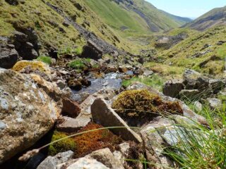 Upper Scordale Beck Upper Scordale Beck