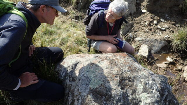 Iron-rich boulder