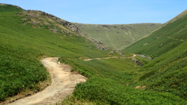 Bracken and partridge filled valley below Black Combe