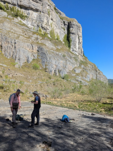 Whitbarrow Quarry