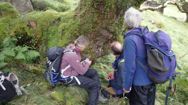CLBG lichenologists at the wych elm CLBG lichenologists at the wych elm