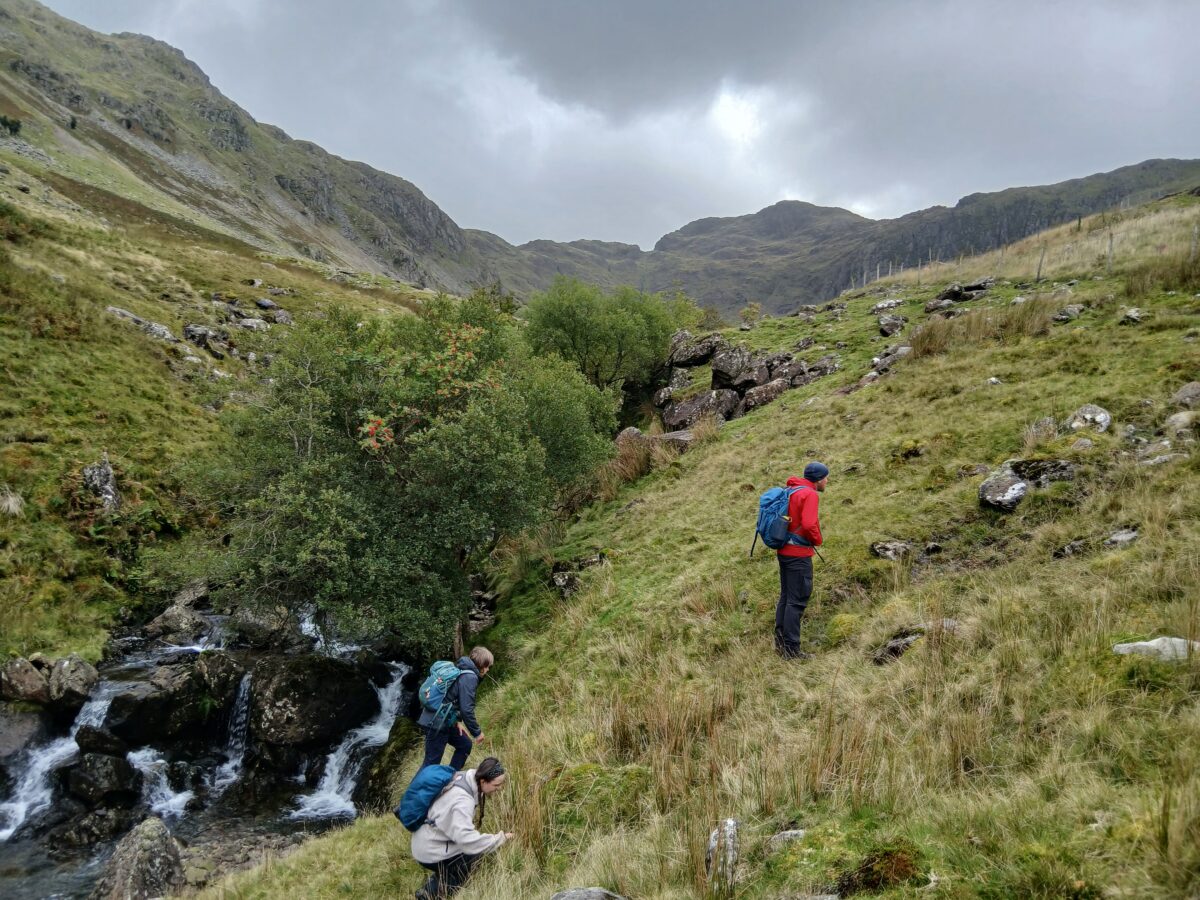 Climbing out of the gill
