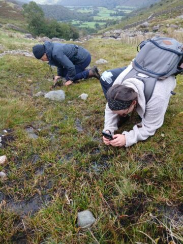 Photographing the bog orchid